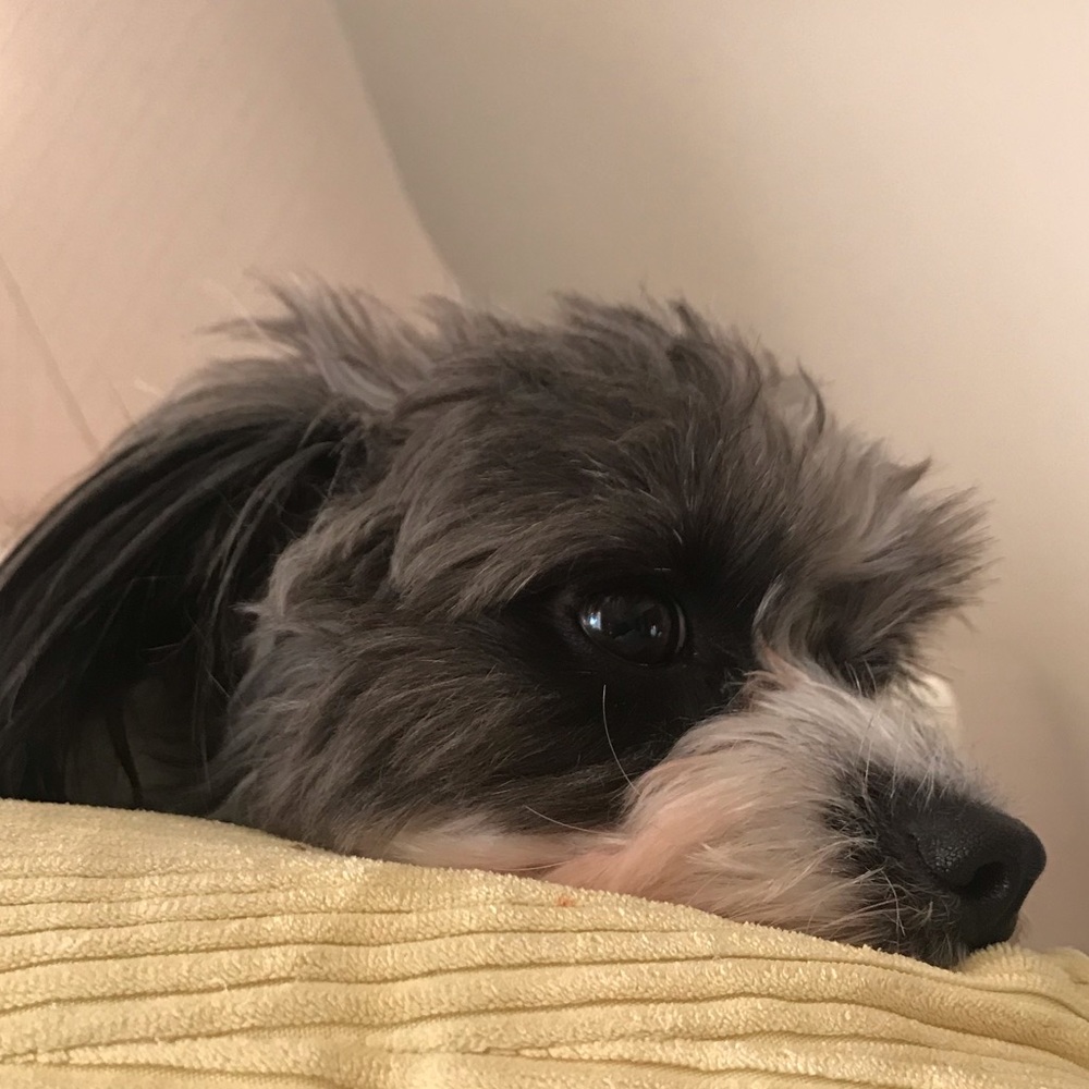 Meet your Posher, Layla